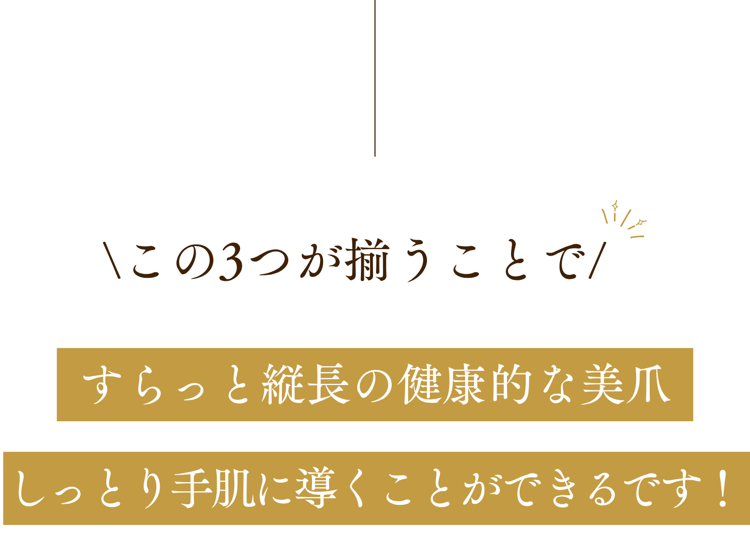 \この3つが揃うことで/すらっと縦長の健康的な美爪しっとり手肌に導くことができるです！